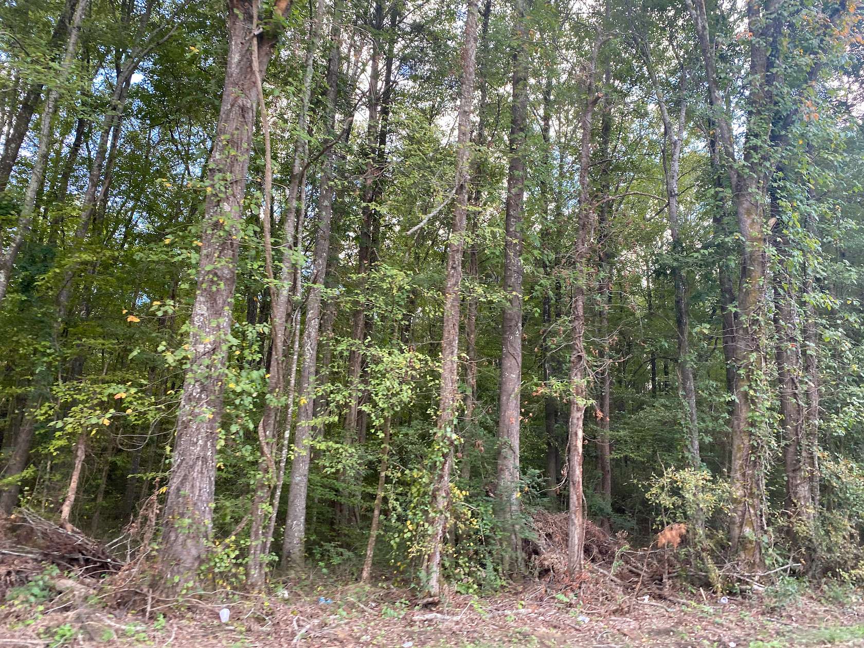3.8 Acres of Land for Sale in Milledgeville, Tennessee