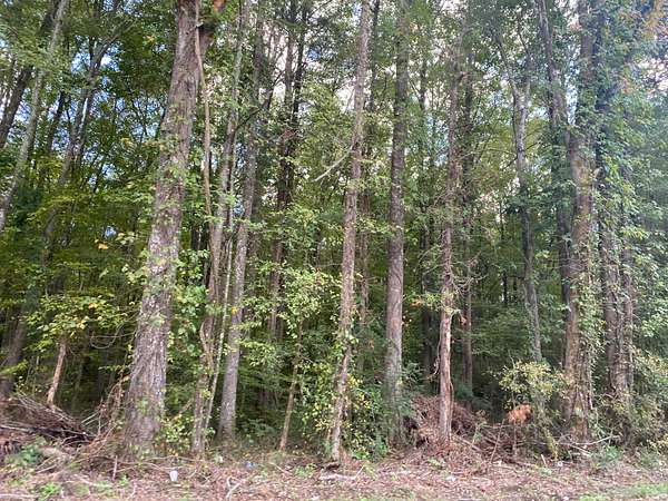 3.8 Acres of Land for Sale in Milledgeville, Tennessee