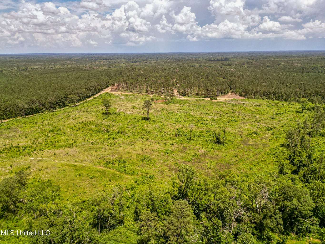 25 Acres of Land for Sale in Liberty, Mississippi