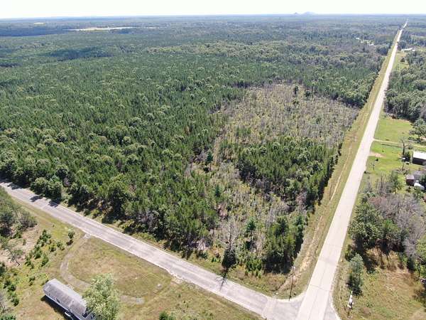 40 Acres of Land for Sale in Arkdale, Wisconsin