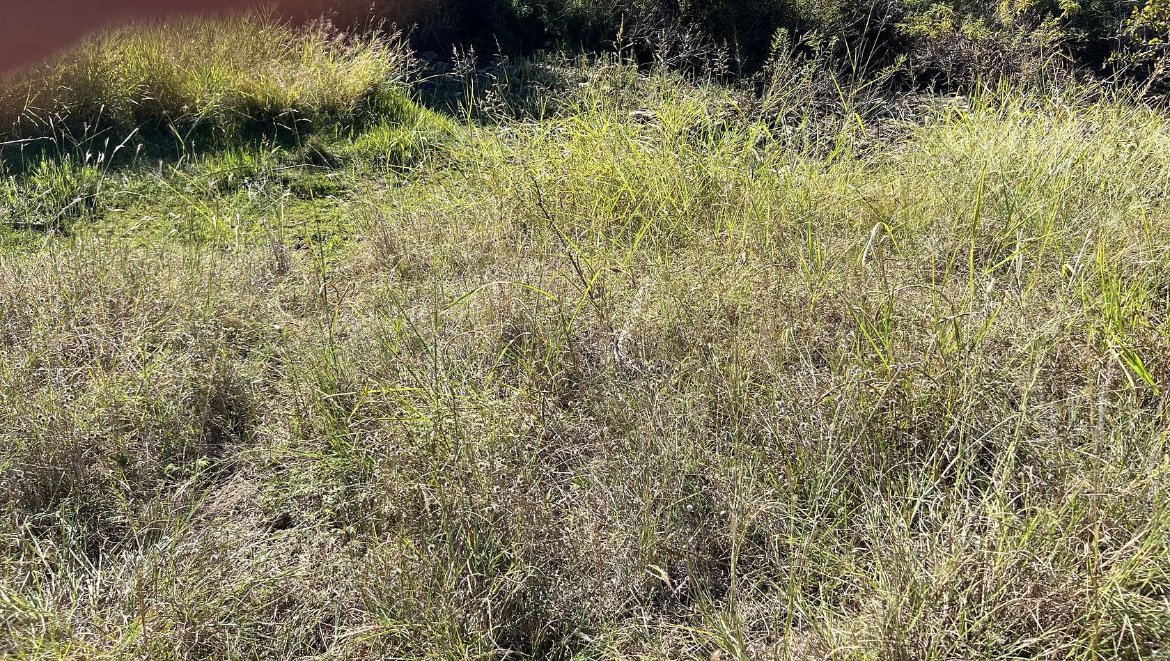 0.11 Acres of Residential Land for Sale in May, Texas