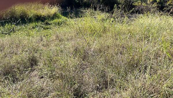 0.11 Acres of Residential Land for Sale in May, Texas