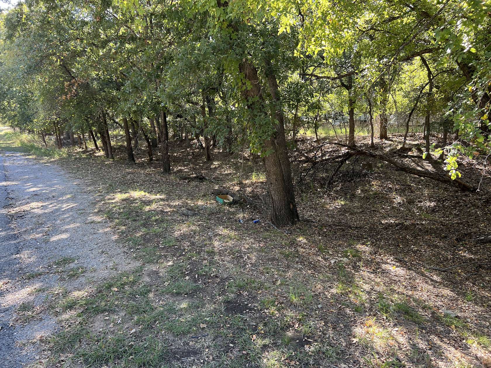 0.38 Acres of Land for Sale in May, Texas