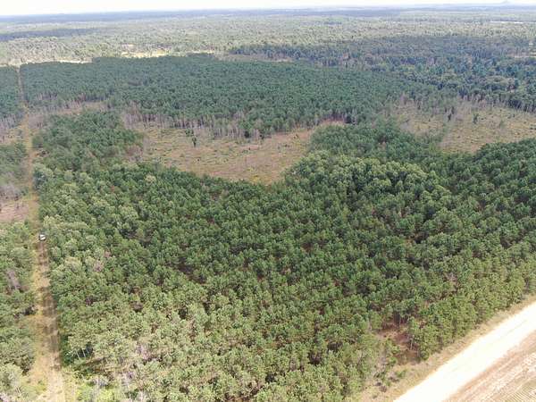 80 Acres of Recreational Land & Farm for Sale in Arkdale, Wisconsin