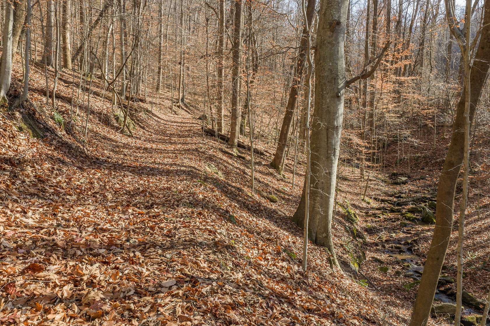 20.5 Acres of Land for Sale in Moravian Falls, North Carolina