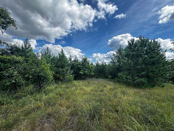 40 Acres of Land for Sale in Arkdale, Wisconsin