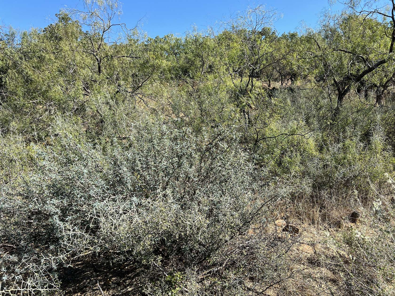 0.34 Acres of Land for Sale in May, Texas