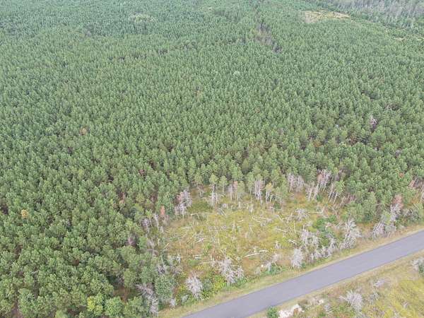 40 Acres of Land for Sale in Arkdale, Wisconsin