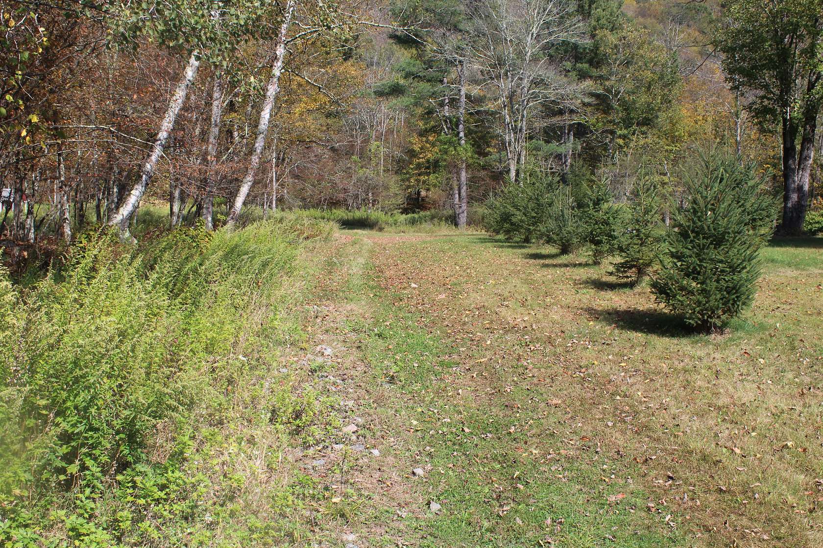 290 Acres of Recreational Land & Farm for Sale in Roscoe, New York