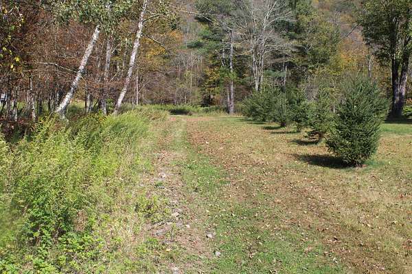290 Acres of Recreational Land & Farm for Sale in Roscoe, New York