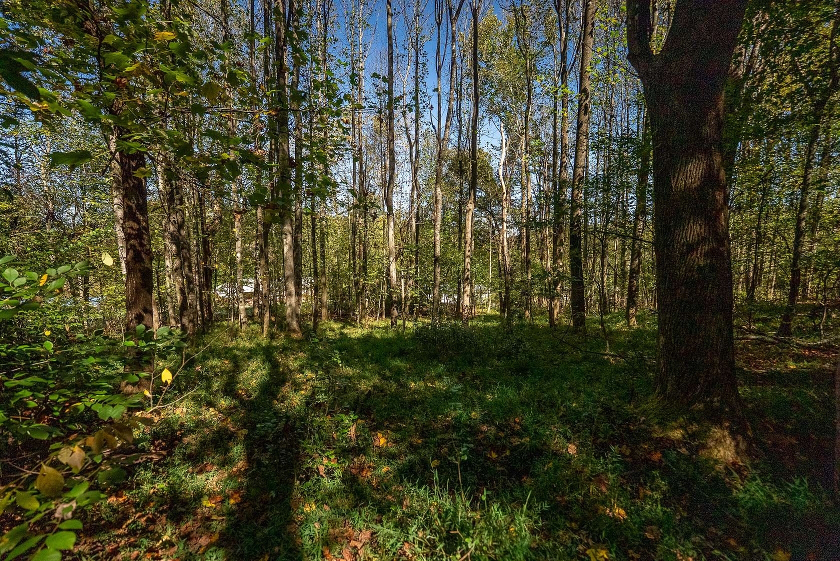 1 Acre of Residential Land for Sale in Moravian Falls, North Carolina