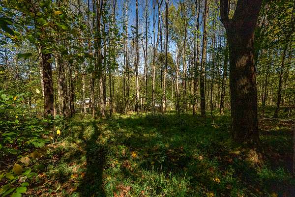 1 Acre of Residential Land for Sale in Moravian Falls, North Carolina