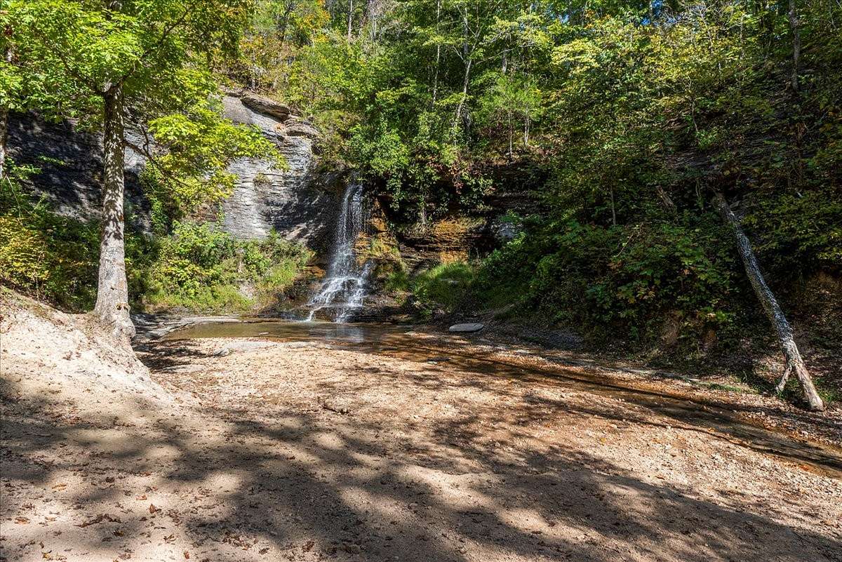 4,121 Acres of Land for Sale in Savannah, Tennessee