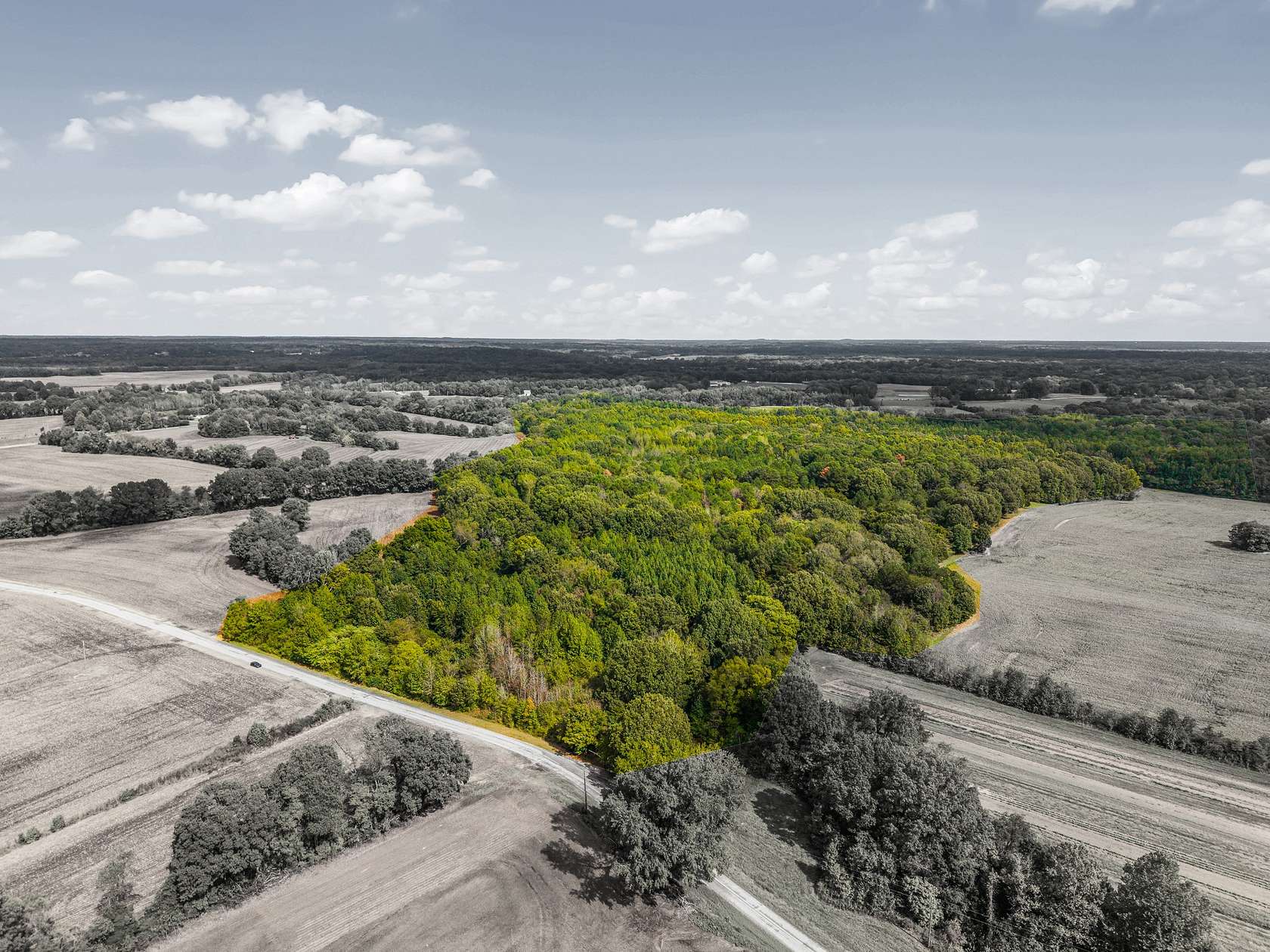 68.4 Acres of Recreational Land & Farm for Sale in Trenton, Tennessee