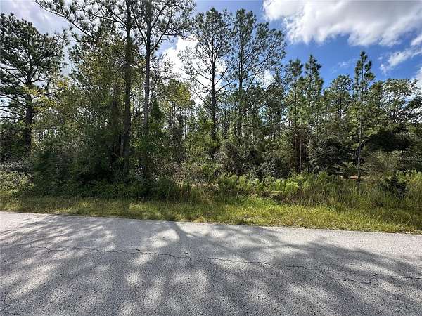 1 Acre of Residential Land for Sale in Dunnellon, Florida