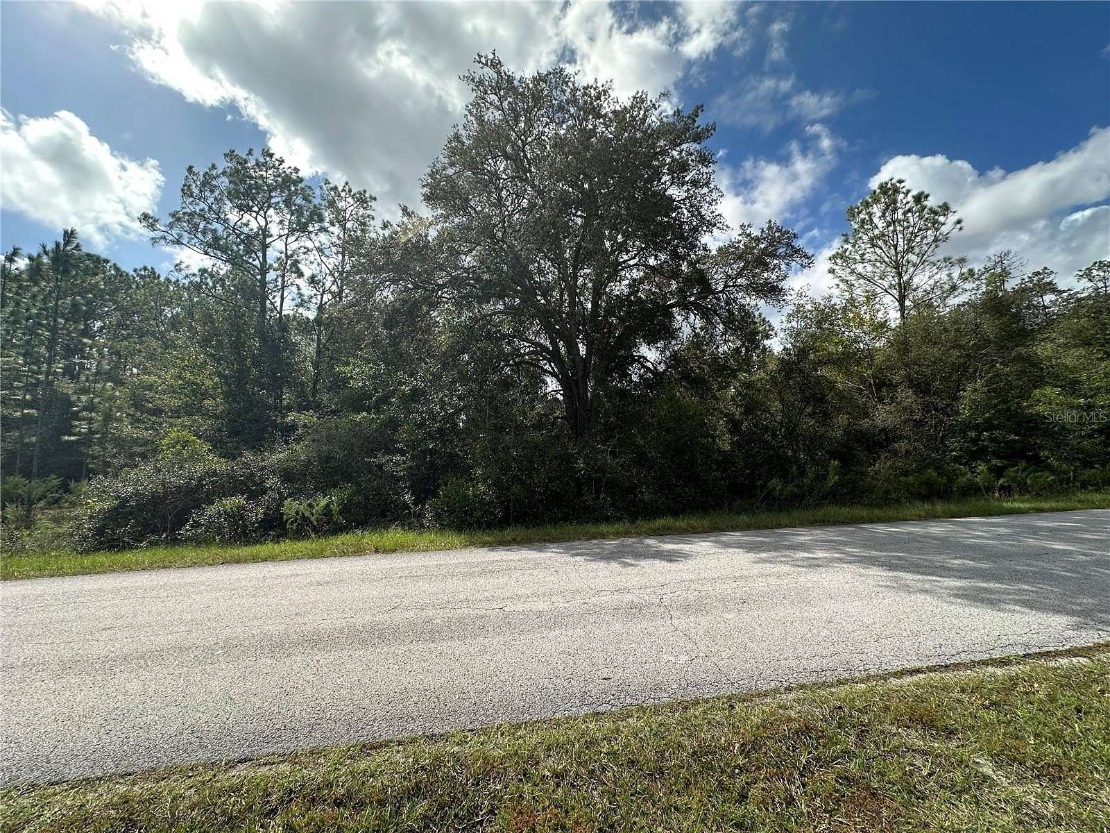 1 Acre of Residential Land for Sale in Dunnellon, Florida