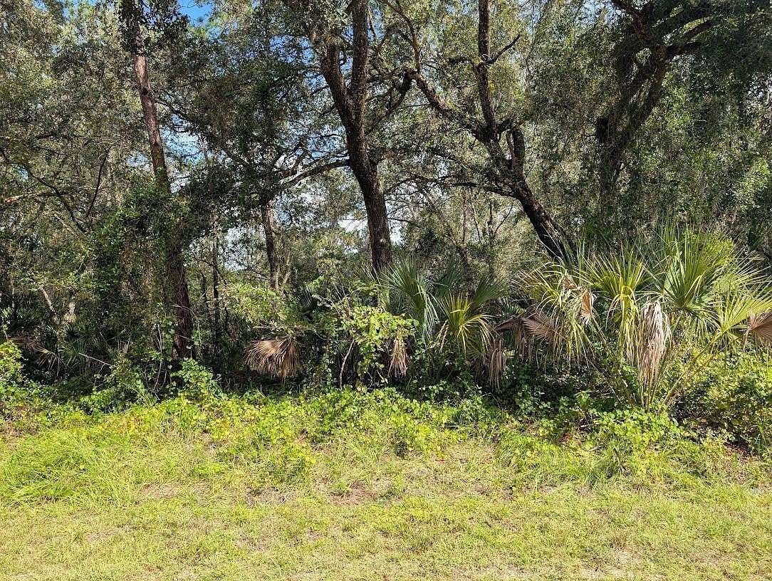 1 Acre of Residential Land for Sale in Indian Lake Estates, Florida