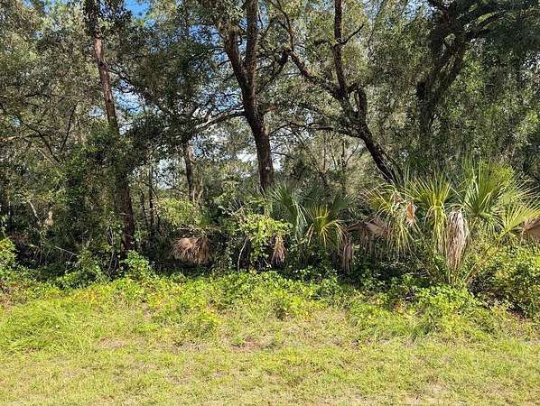 1 Acre of Residential Land for Sale in Indian Lake Estates, Florida
