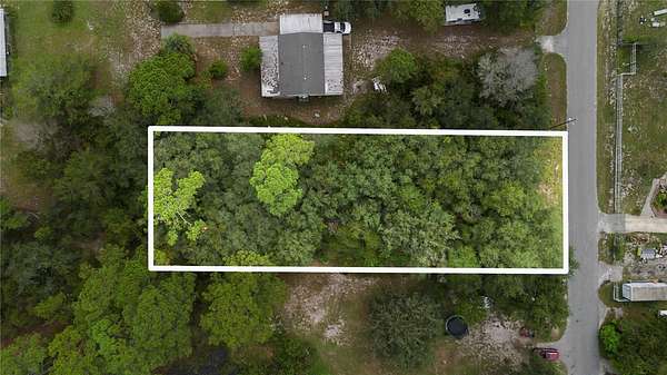 0.37 Acres of Residential Land for Sale in Paisley, Florida