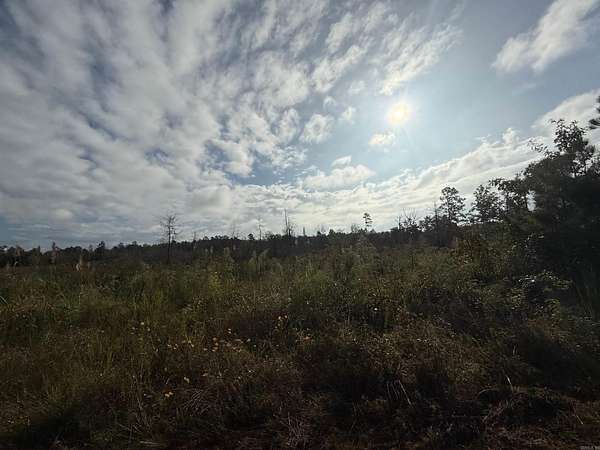40 Acres of Recreational Land for Sale in White Hall, Arkansas