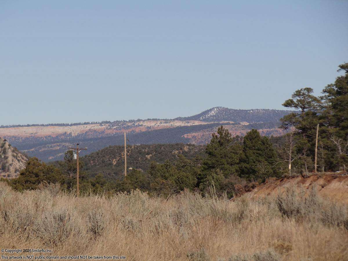 2.66 Acres of Residential Land for Sale in Regina, New Mexico
