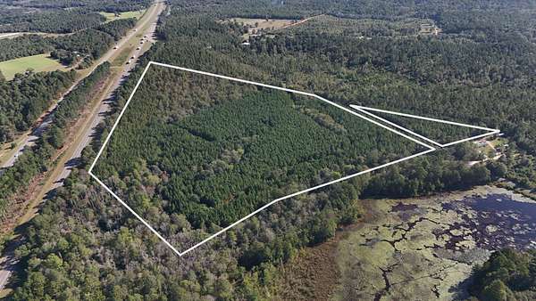 45 Acres of Recreational Land for Sale in Batesburg, South Carolina