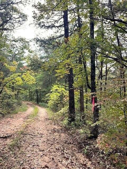 10.5 Acres of Recreational Land for Sale in Marble Falls Township, Arkansas