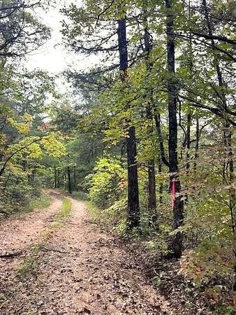 10.5 Acres of Recreational Land for Sale in Marble Falls Township, Arkansas