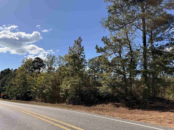 1 Acre of Residential Land for Sale in Rosston, Arkansas