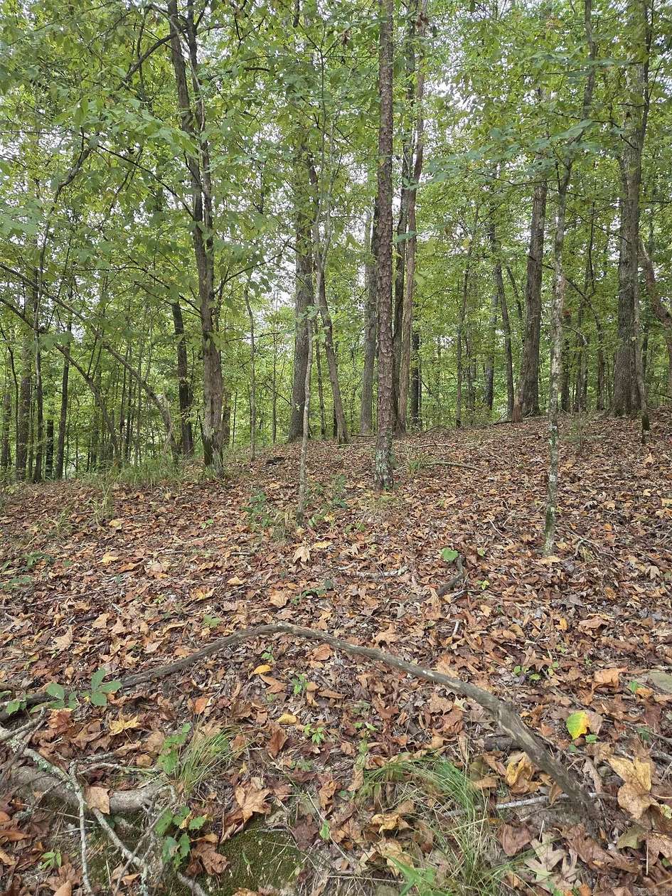 0.25 Acres of Residential Land for Sale in Hot Springs, Arkansas