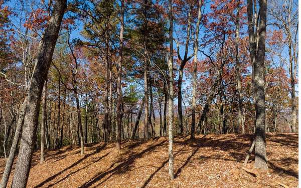 3.29 Acres of Land for Sale in Ellijay, Georgia