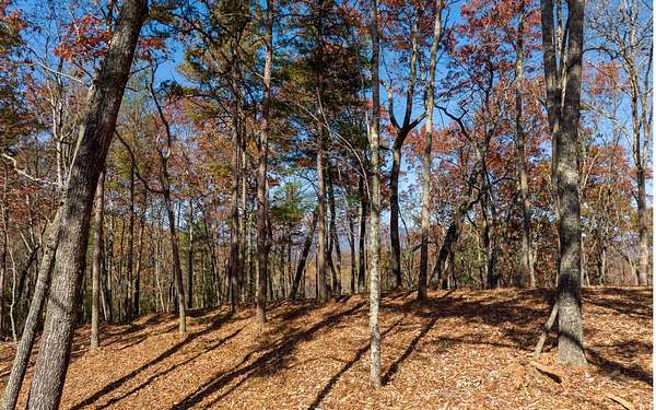 3.29 Acres of Land for Sale in Ellijay, Georgia