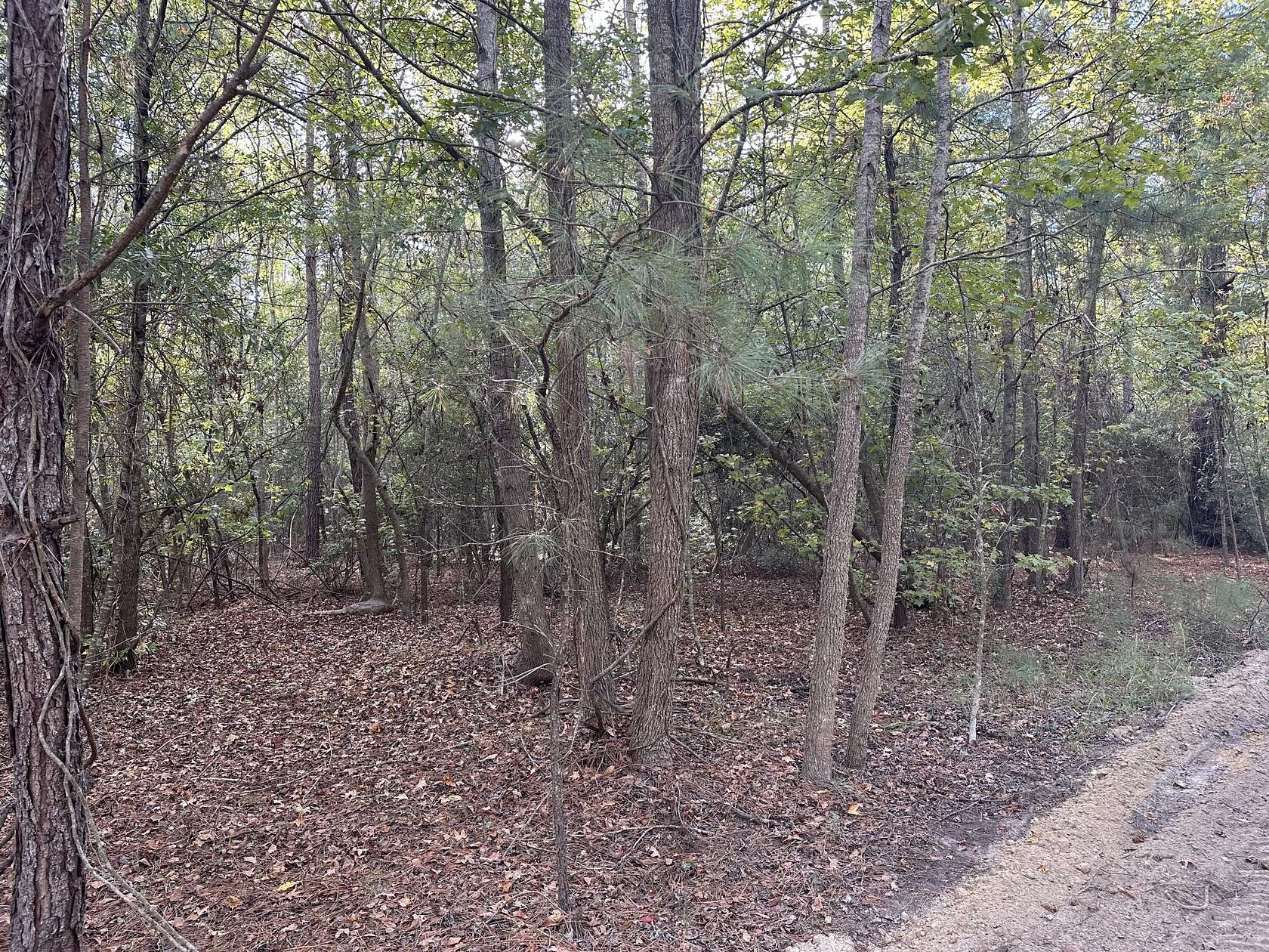1.45 Acres of Residential Land for Sale in Summerton, South Carolina