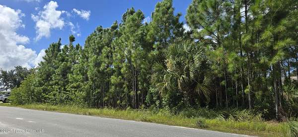 0.23 Acres of Land for Sale in Palm Bay, Florida