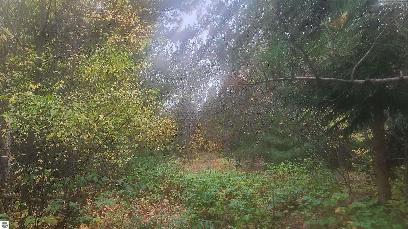 2.5 Acres of Residential Land for Sale in Mancelona, Michigan