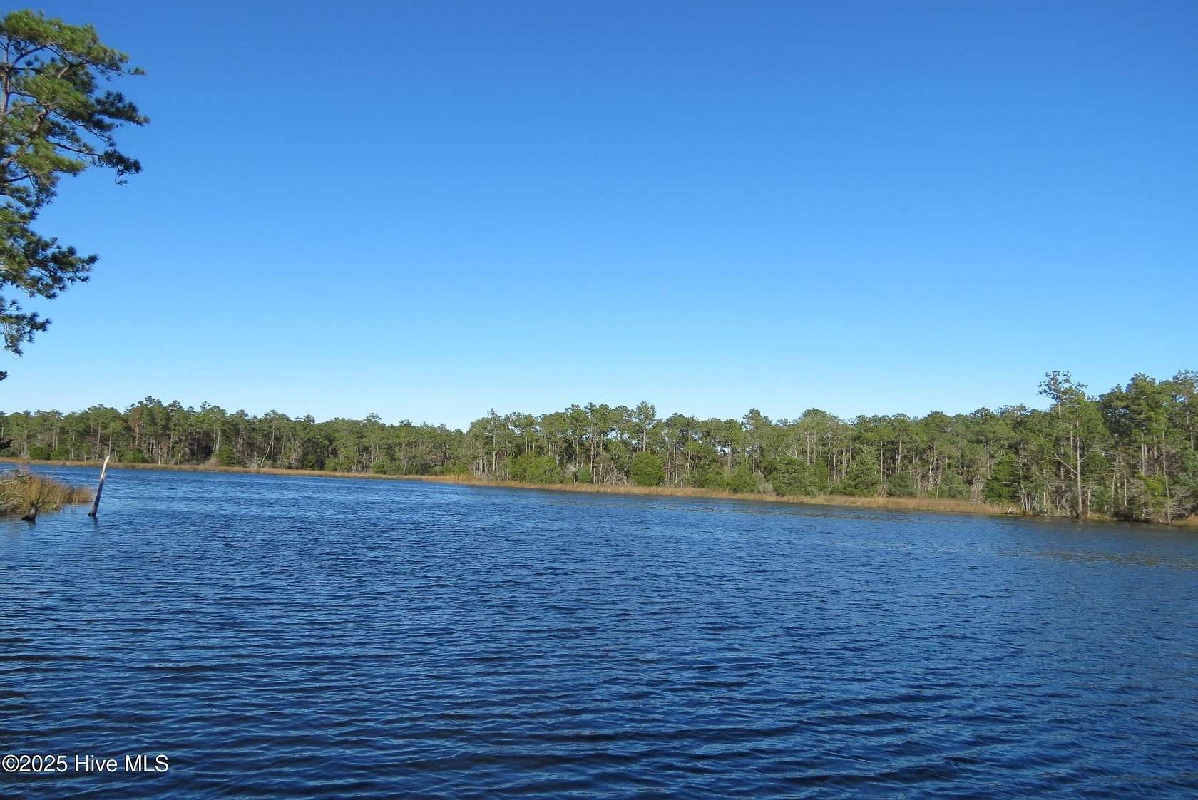 7.49 Acres of Residential Land for Sale in Oriental, North Carolina