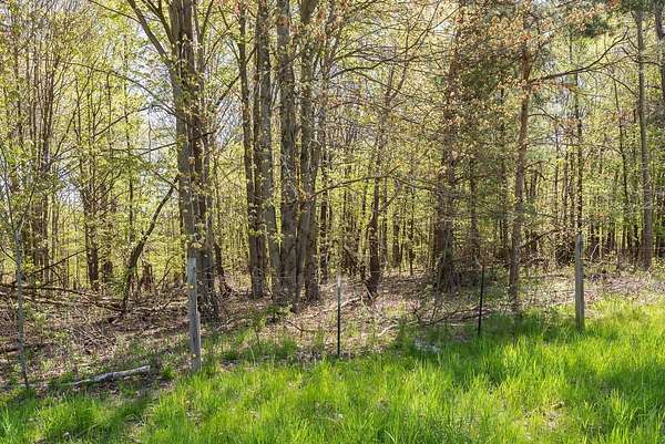 1.79 Acres of Land for Sale in Cedar Springs, Michigan
