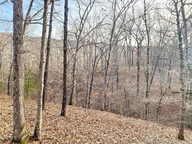 40 Acres of Recreational Land for Sale in Cookson, Oklahoma