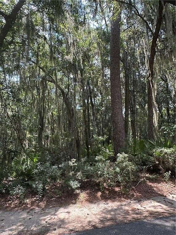 1.4 Acres of Residential Land for Sale in Townsend, Georgia