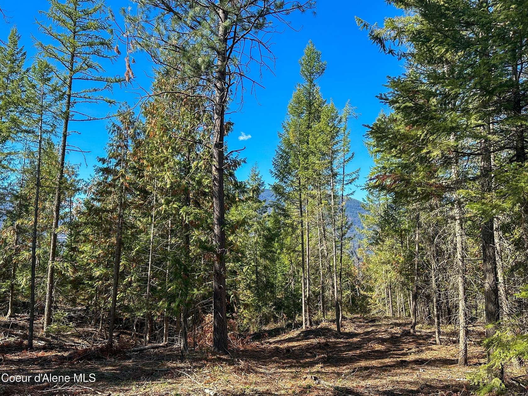 11 Acres of Recreational Land for Sale in Bonners Ferry, Idaho