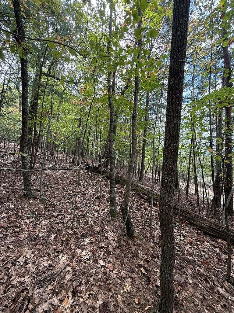 Residential Land for Sale in Murphy, North Carolina