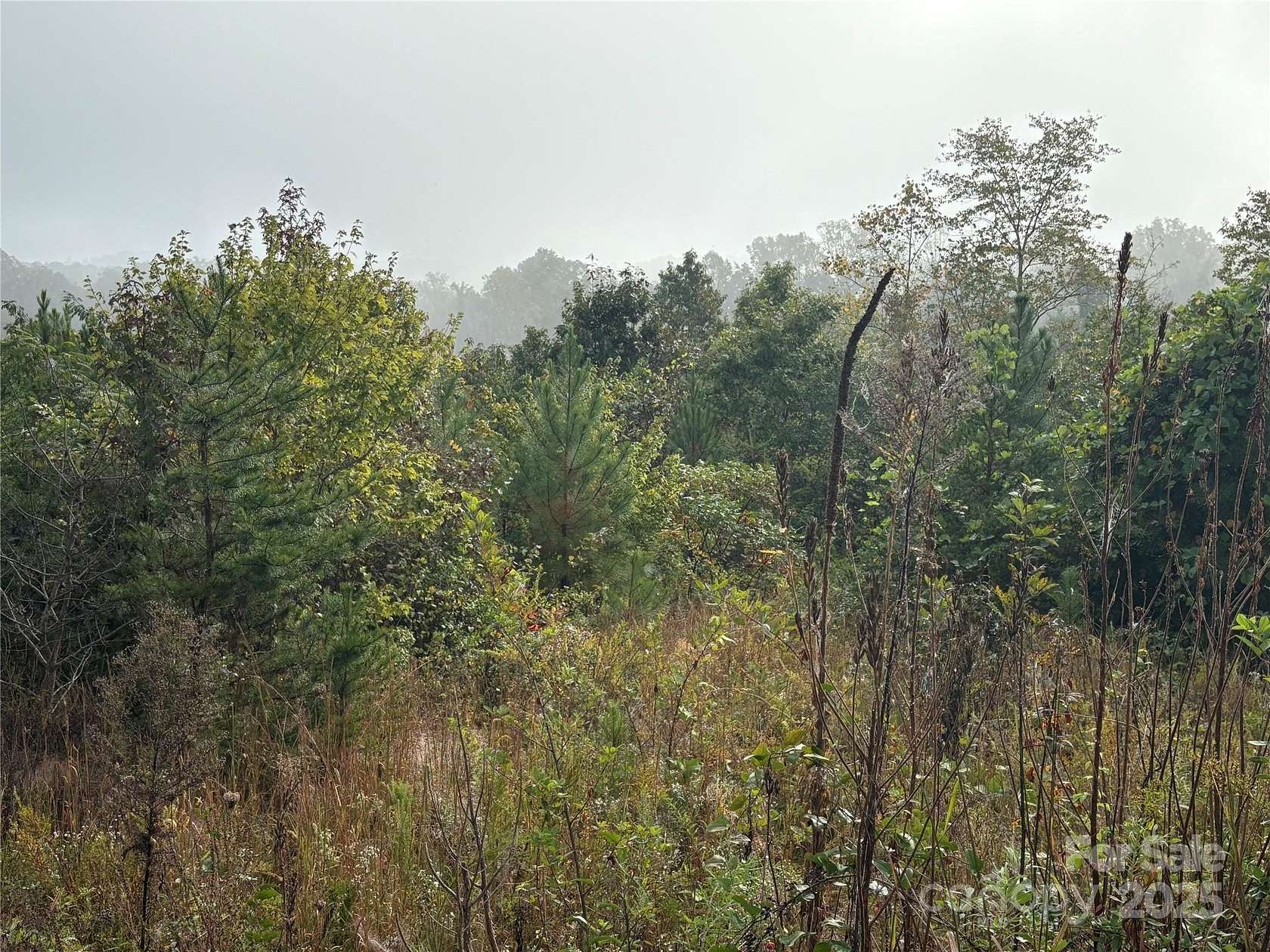 22.6 Acres of Land for Sale in Morganton, North Carolina