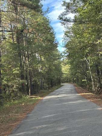 1.18 Acres of Residential Land for Sale in Summerton, South Carolina