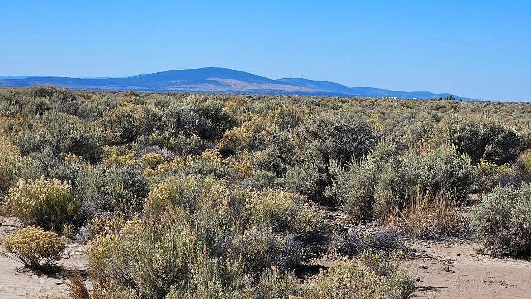20 Acres of Agricultural Land for Sale in Christmas Valley, Oregon