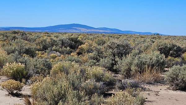 20 Acres of Agricultural Land for Sale in Christmas Valley, Oregon