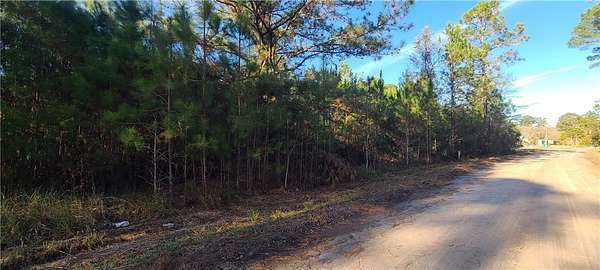 0.34 Acres of Residential Land for Sale in Townsend, Georgia
