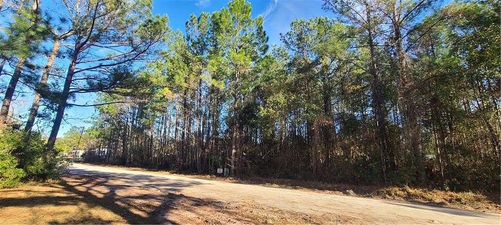 0.31 Acres of Residential Land for Sale in Townsend, Georgia