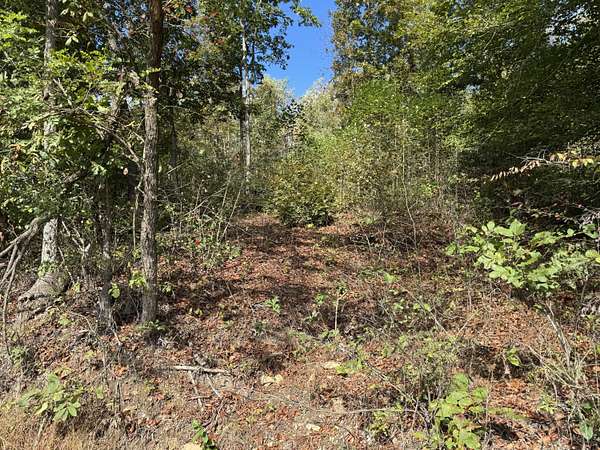 10.7 Acres of Land for Sale in Hillsboro, Kentucky