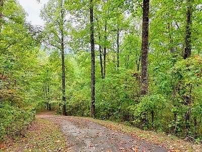1 Acre of Residential Land for Sale in Hayesville, North Carolina