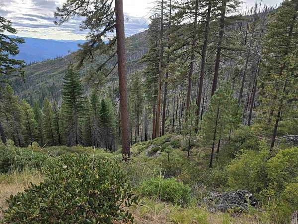 150 Acres of Recreational Land for Sale in Seiad Valley, California